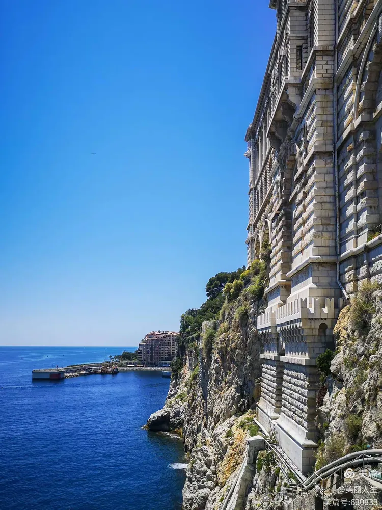 摩纳哥遭遇主场失利,降级危机愈发严重 摩纳哥遭遇主场失利,降级危机愈发严重