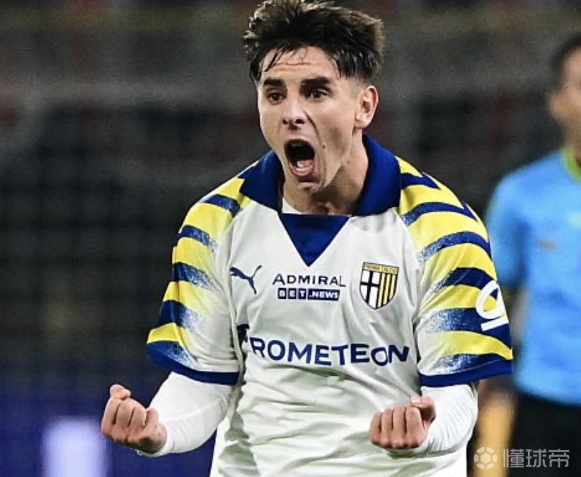 帕尔马球队完成新赛季引援，球迷期待