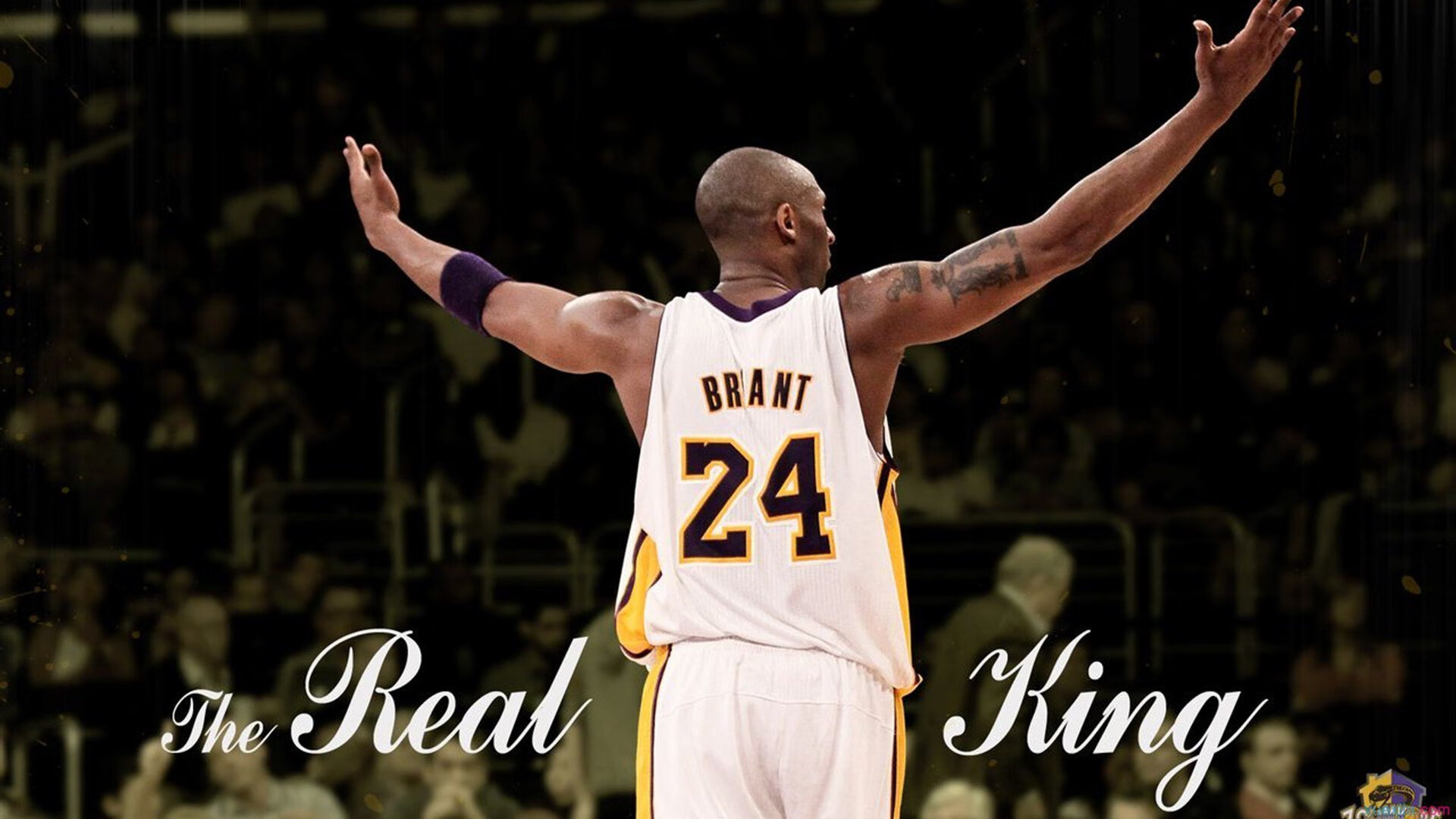 从俱乐部到世界杯，皇家社会战术基因如何孕育卡塞米罗的2026统治力